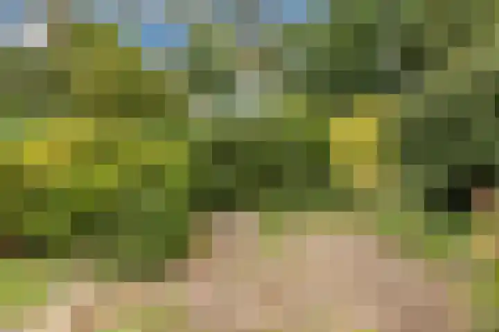 Prunuslaan 29 Oudorp thumbnail 46