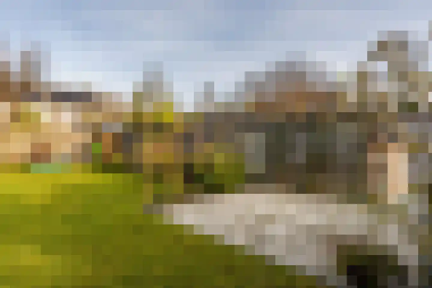 Prunuslaan 3 Puttershoek thumbnail 44