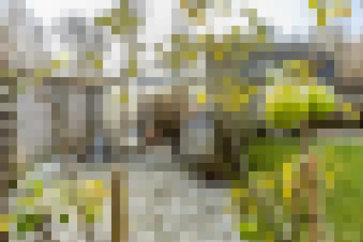Prunuslaan 3 Puttershoek thumbnail 45