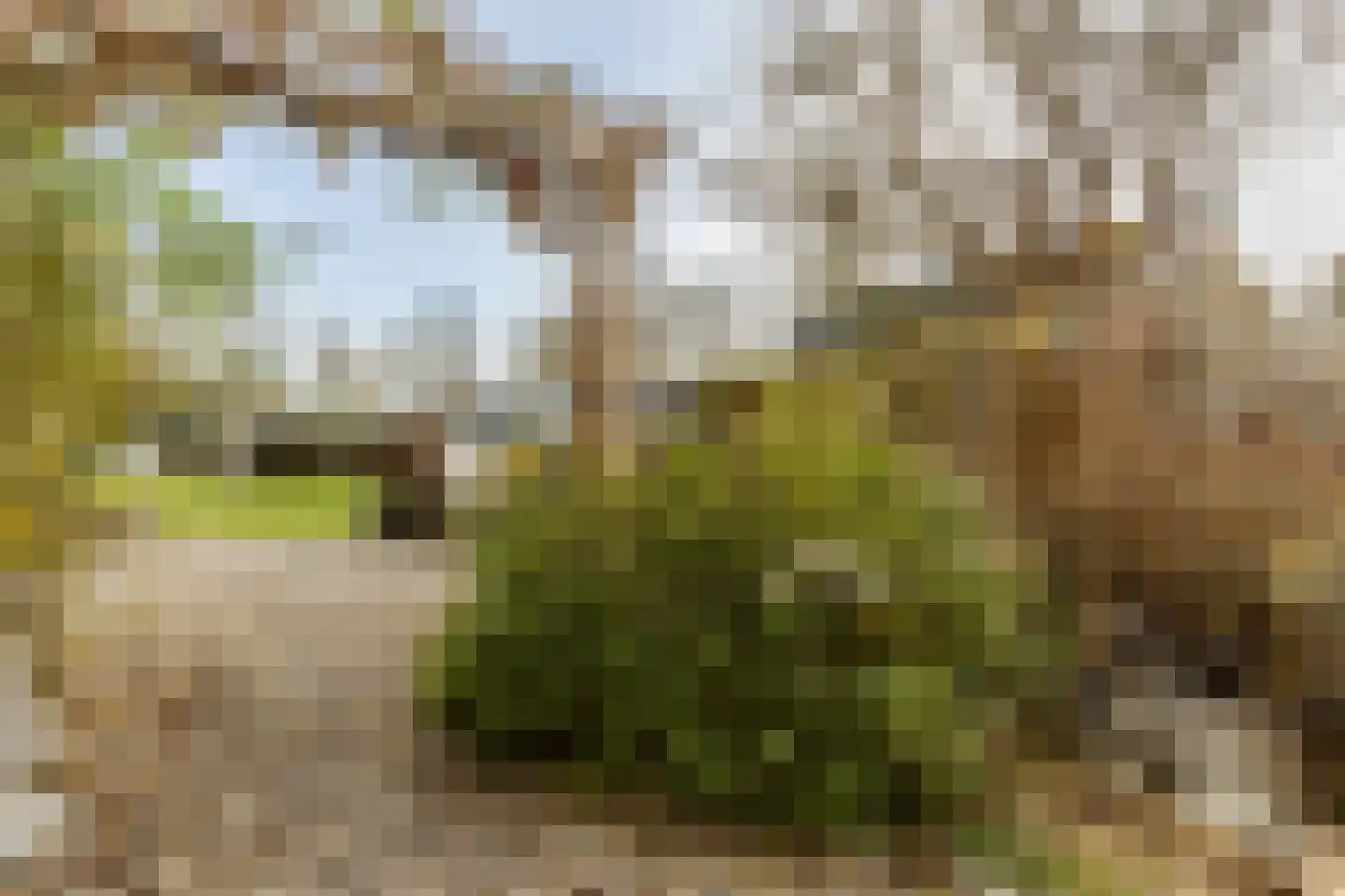Prunuslaan 3 Puttershoek thumbnail 46