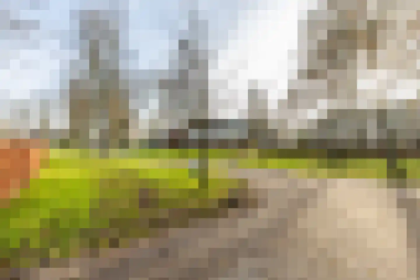Prunuslaan 3 Puttershoek thumbnail 47