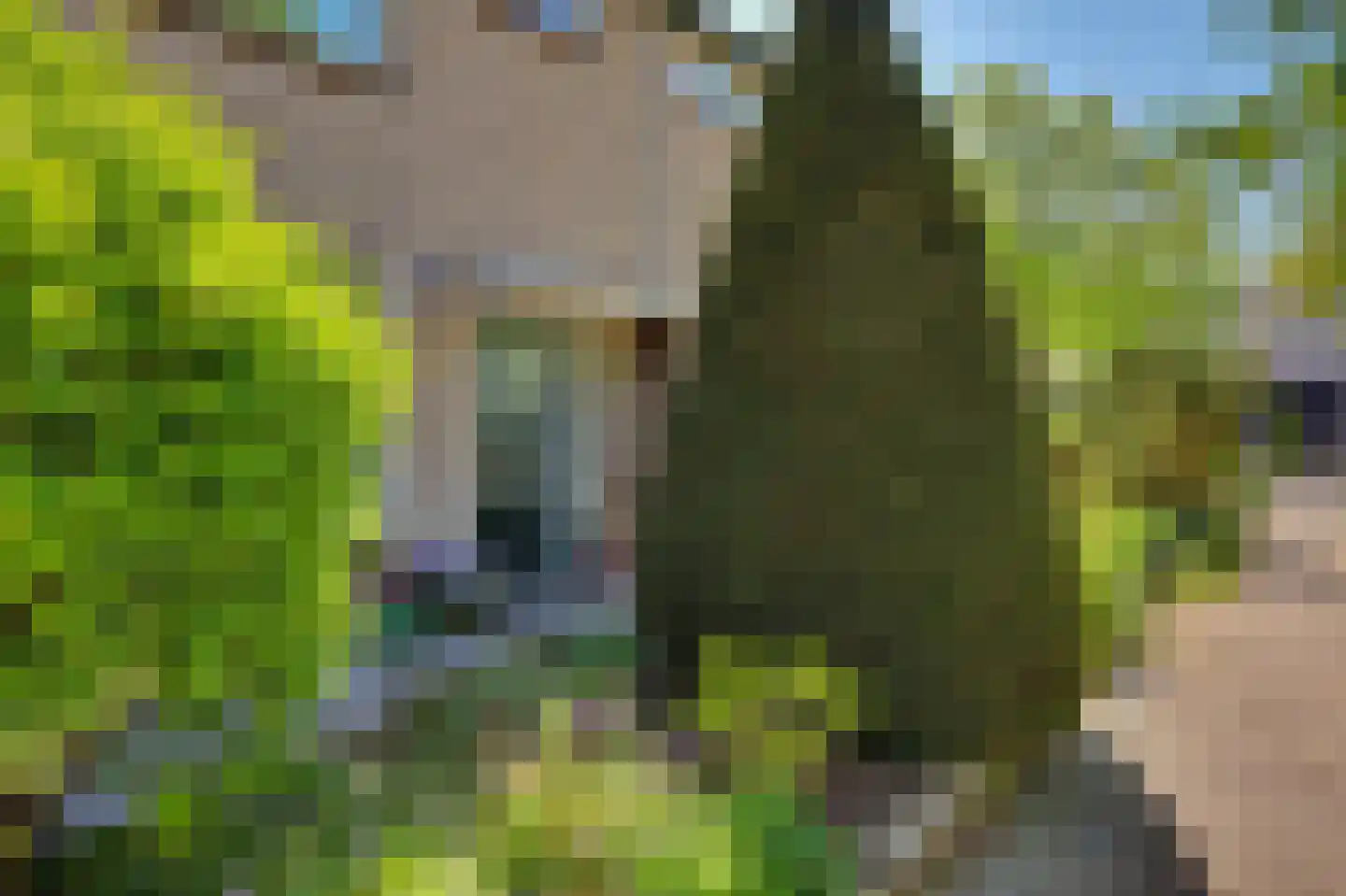 Prunuslaan 3 Rockanje thumbnail 40