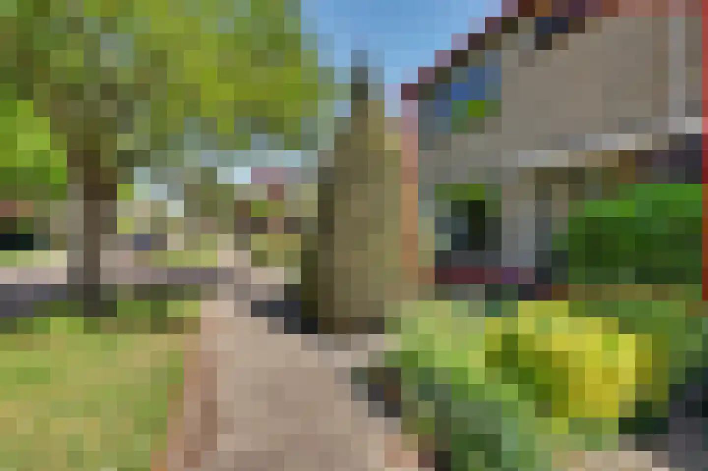 Prunuslaan 3 Rockanje thumbnail 6