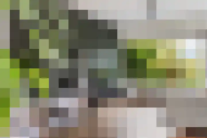 Prunuslaan 36 Woerden thumbnail 15