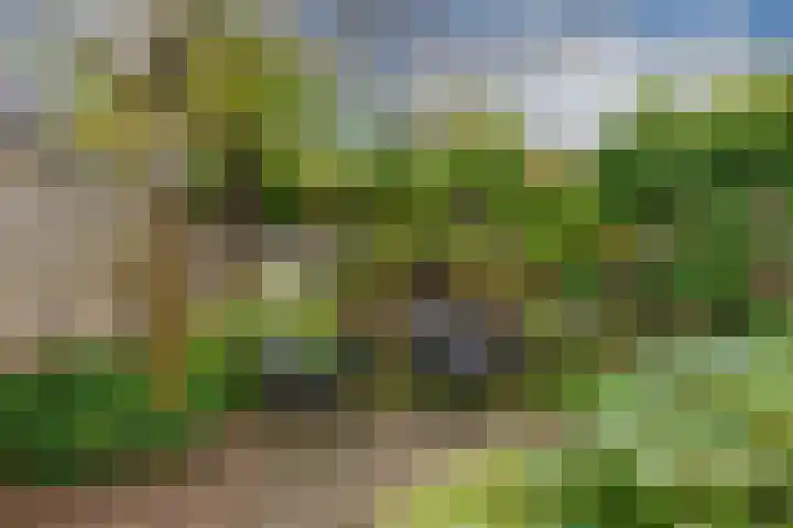 Prunuslaan 36 Woerden thumbnail 34