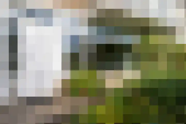 Prunuslaan 36 Woerden thumbnail 4