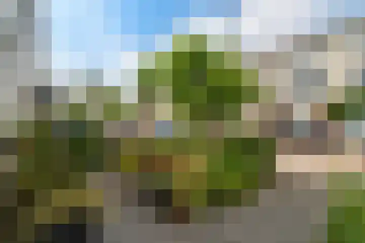 Prunuslaan 62 Delft thumbnail 8