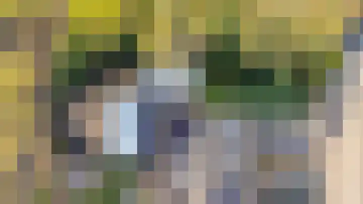Prunuslaan 62 Duiven thumbnail 52