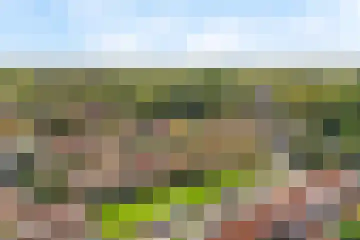 Prunuslaan 8 Leusden thumbnail 25