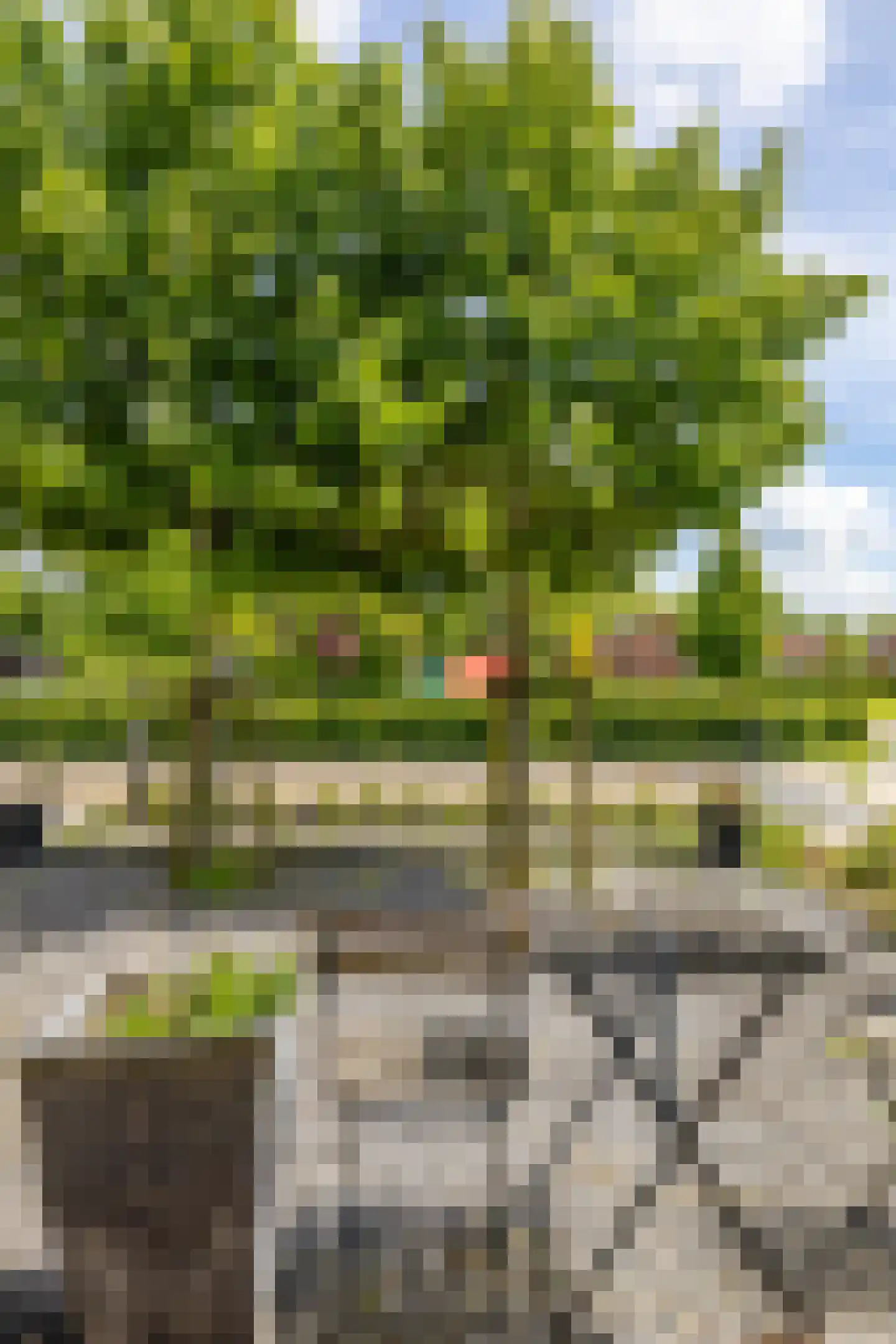 Prunuslaan 8 Nieuwolda thumbnail 41