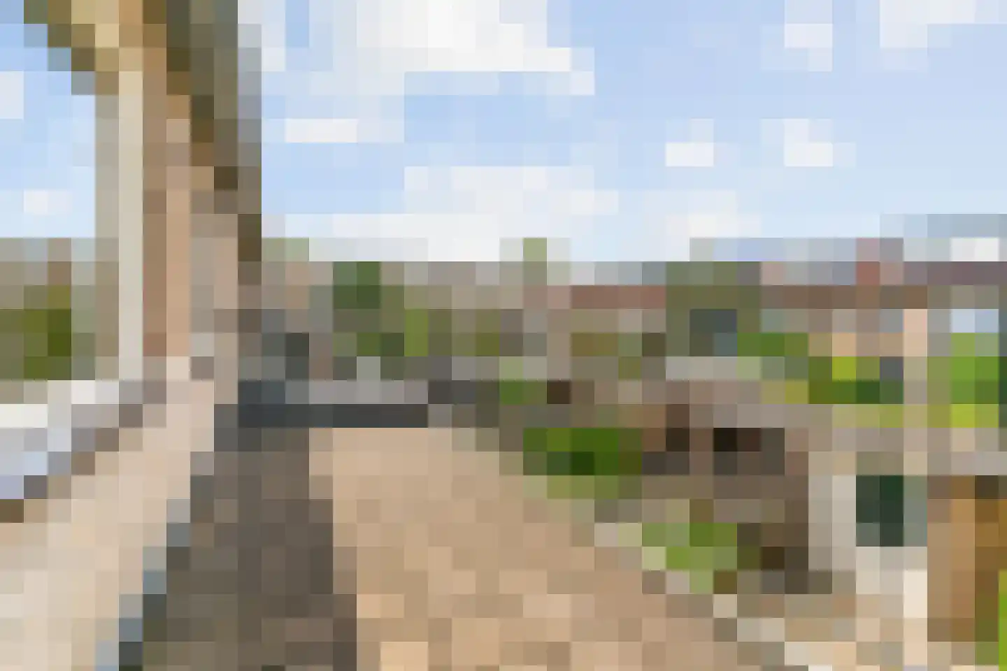 Prunusstraat 11 Alphen aan den Rijn thumbnail 18