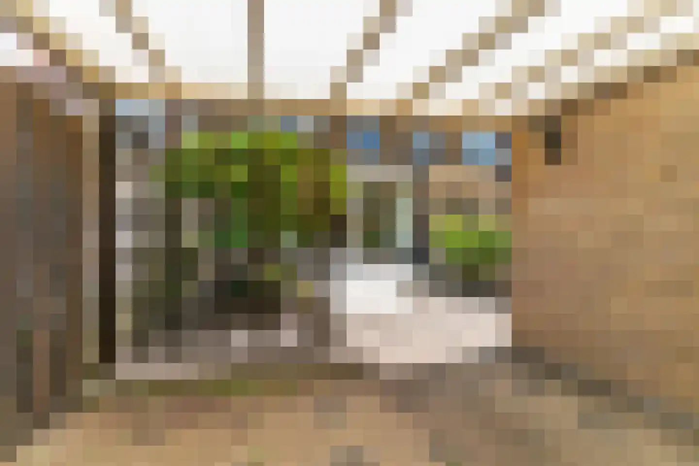 Prunusstraat 11 Alphen aan den Rijn thumbnail 32