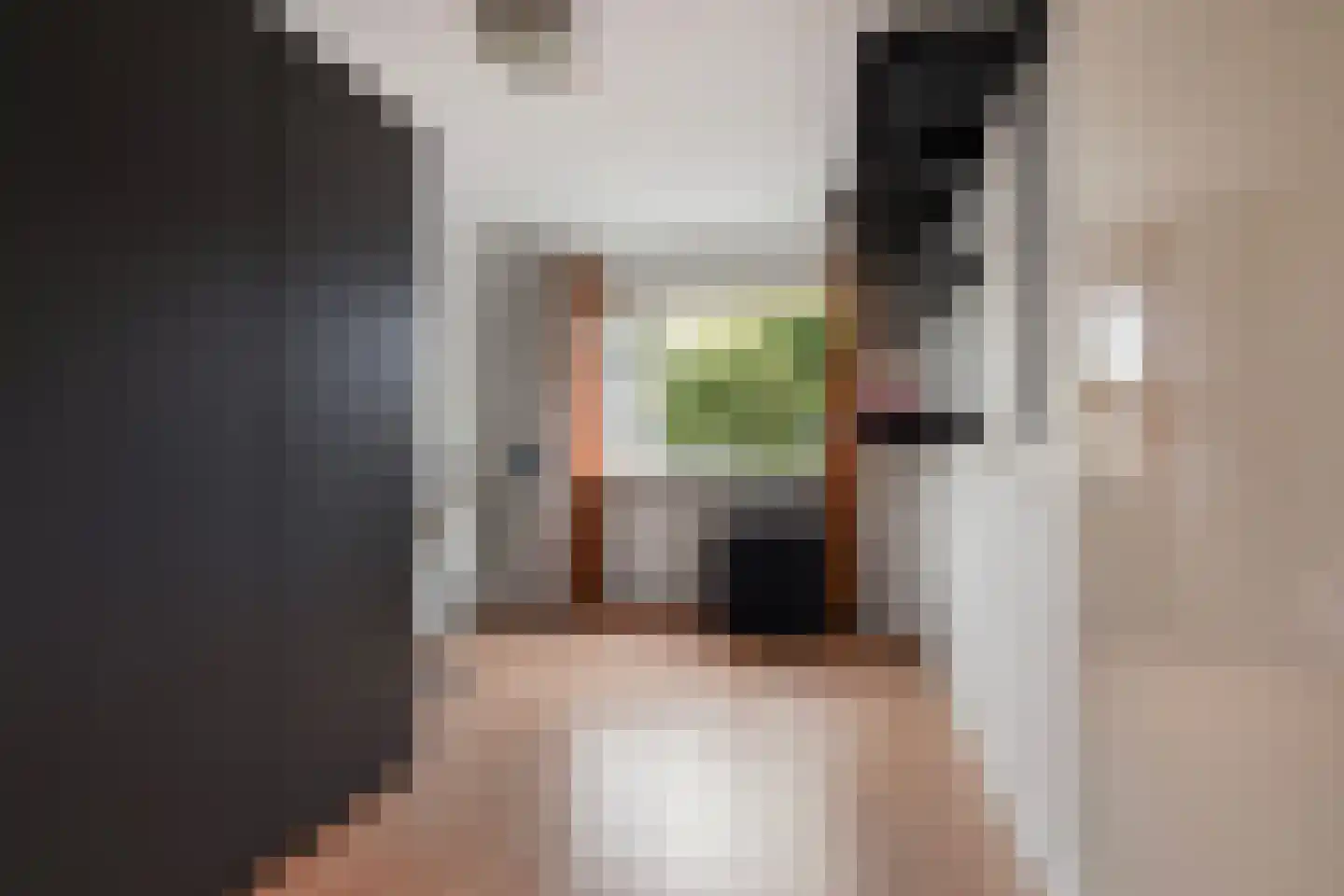 Prunusstraat 11 Oisterwijk thumbnail 33