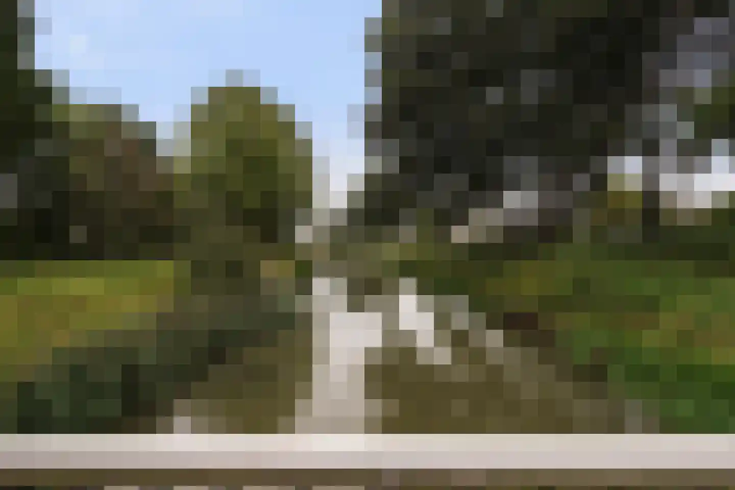 Prunusstraat 11 Oisterwijk thumbnail 47
