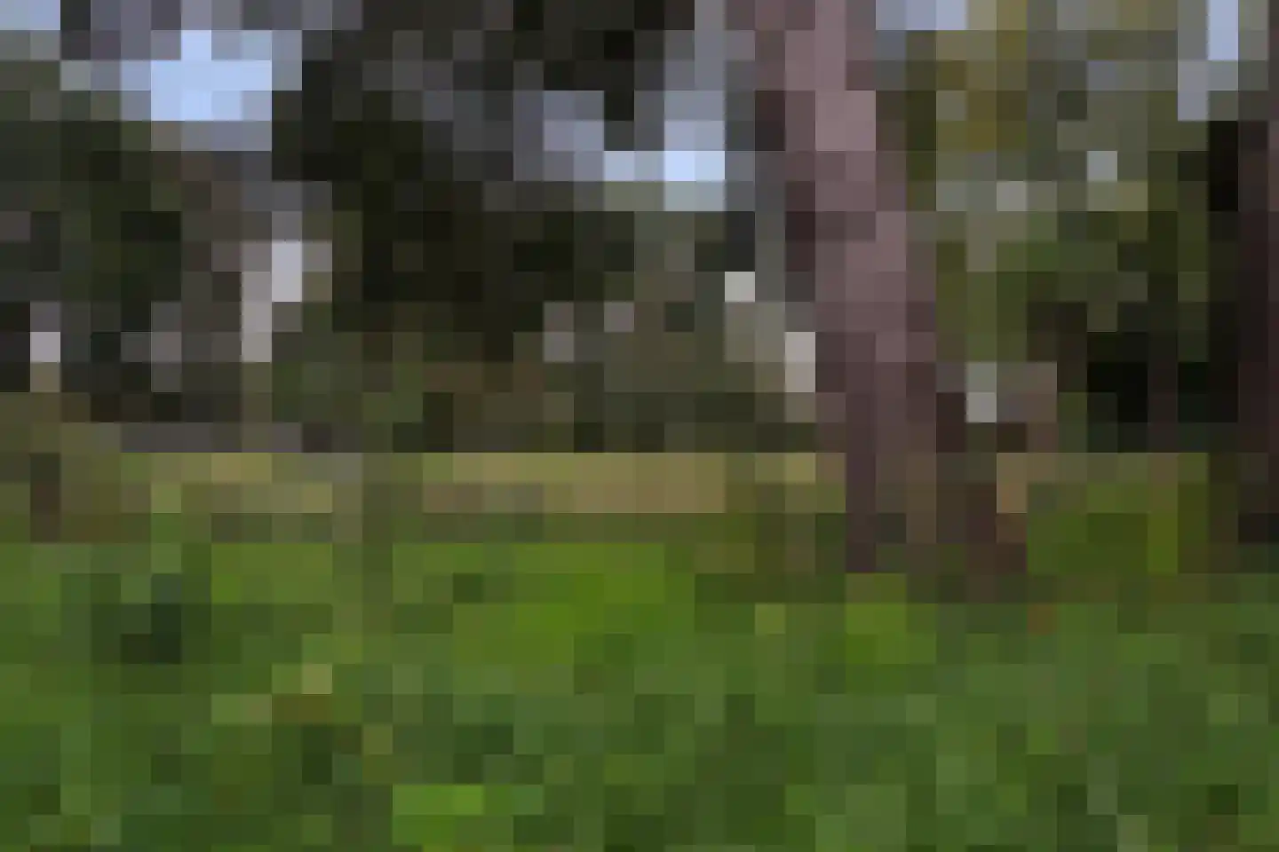Prunusstraat 11 Oisterwijk thumbnail 48