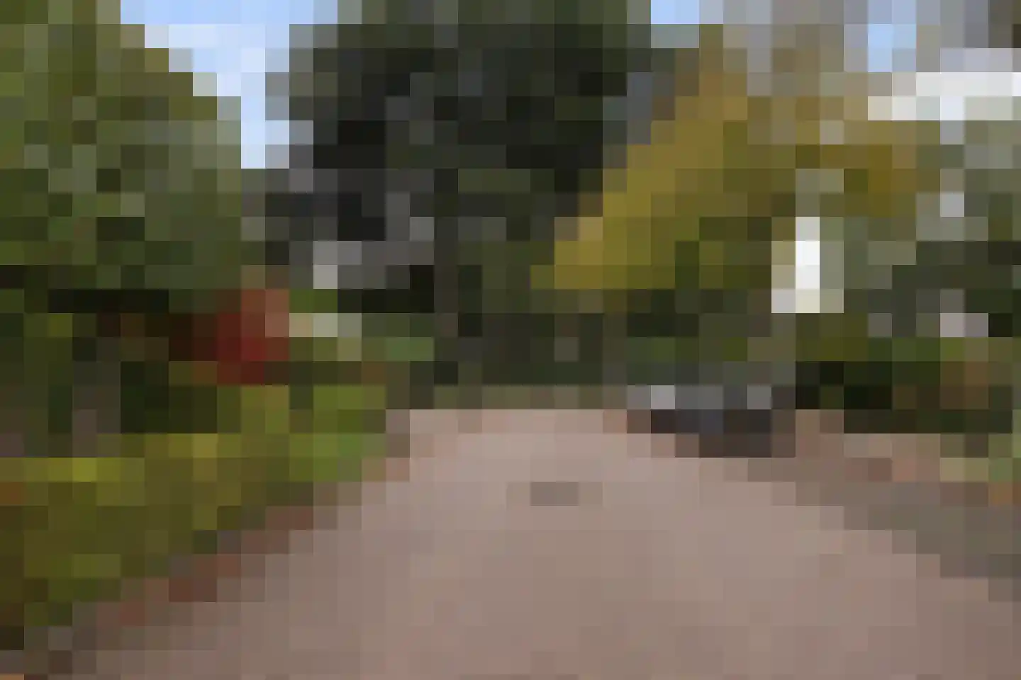 Prunusstraat 11 Oisterwijk thumbnail 49
