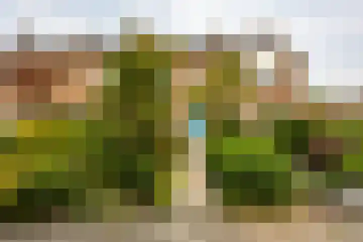 Prunusstraat 110 in Groningen