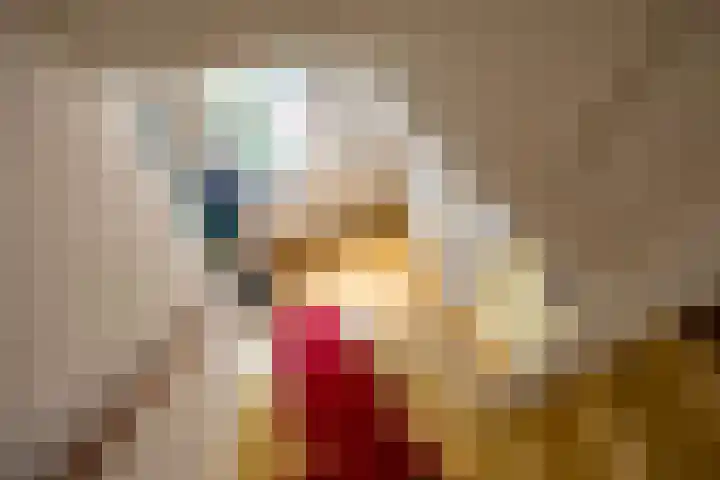 Prunusstraat 110 Groningen thumbnail 12