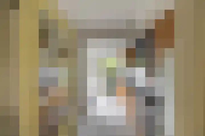 Prunusstraat 110 Groningen thumbnail 13