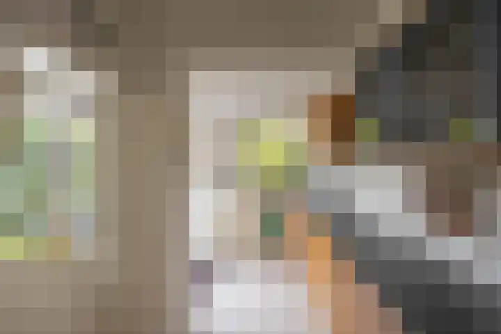 Prunusstraat 110 Groningen thumbnail 16