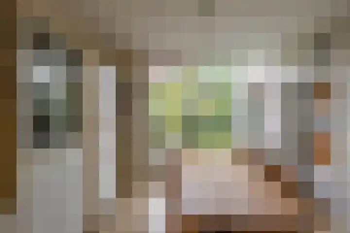 Prunusstraat 110 Groningen thumbnail 24