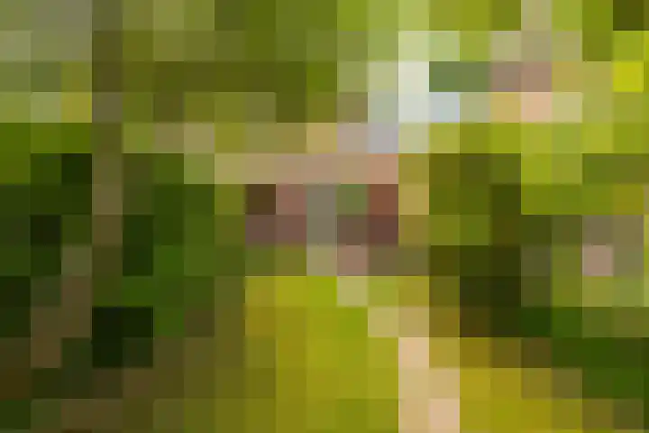 Prunusstraat 110 Groningen thumbnail 26