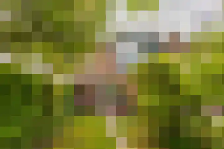 Prunusstraat 110 Groningen thumbnail 27