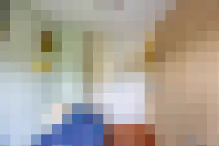 Prunusstraat 110 Groningen thumbnail 29