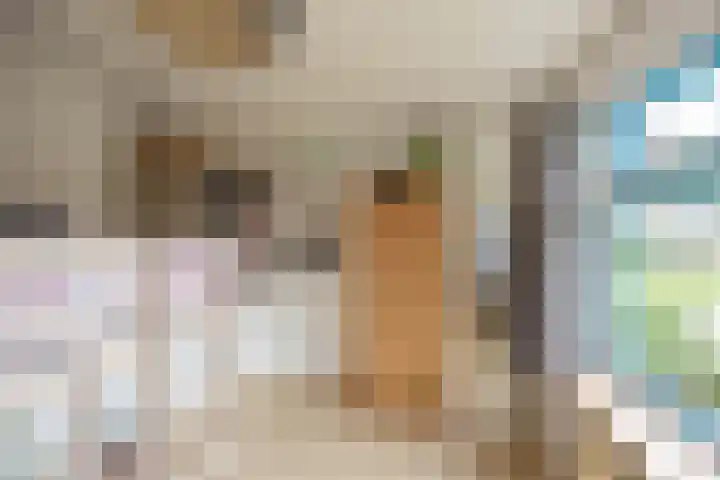 Prunusstraat 110 Groningen thumbnail 31