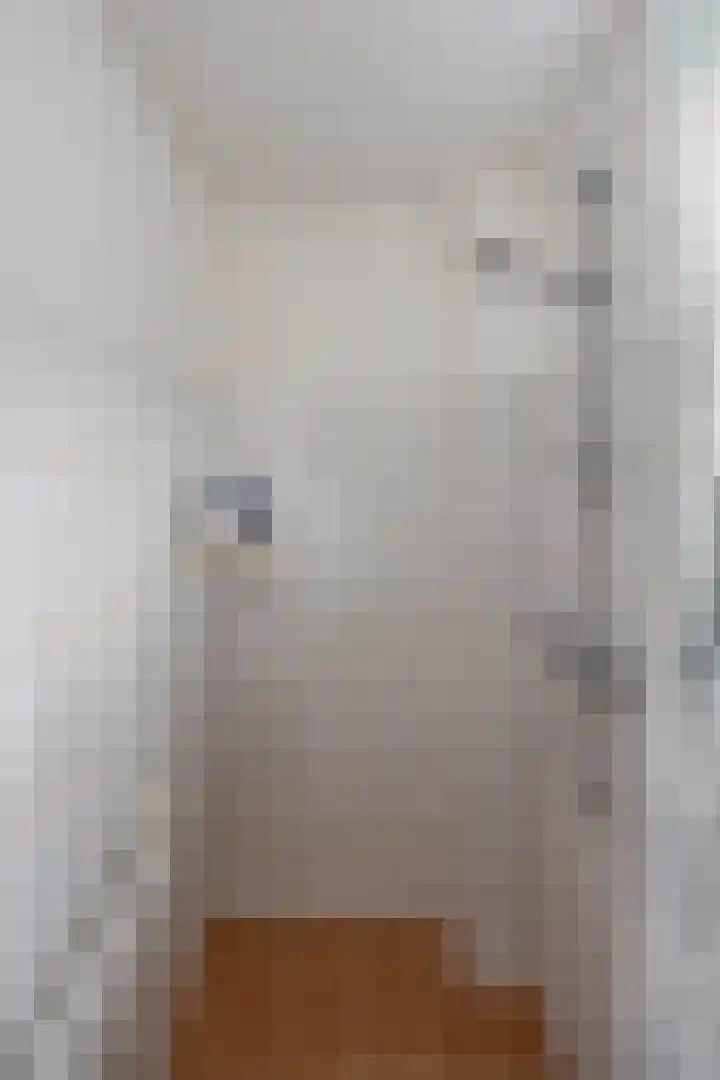 Prunusstraat 110 Groningen thumbnail 37