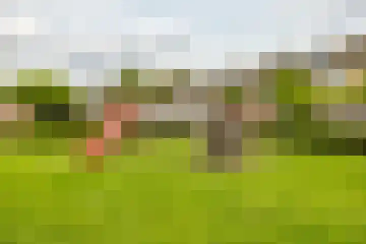Prunusstraat 110 Groningen thumbnail 4