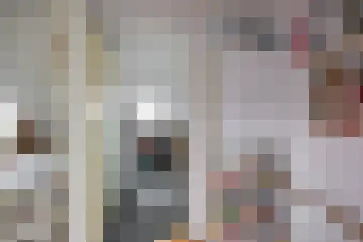 Prunusstraat 110 Groningen thumbnail 44
