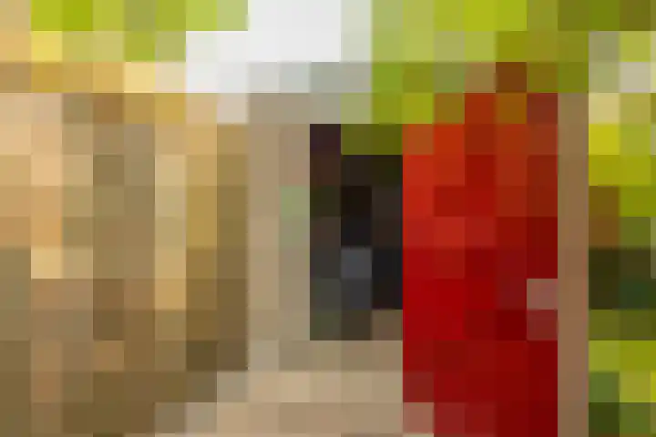 Prunusstraat 110 Groningen thumbnail 47