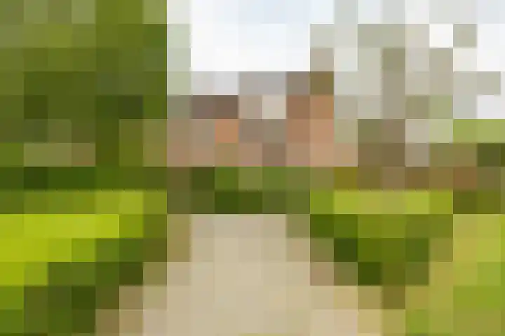 Prunusstraat 110 Groningen thumbnail 49