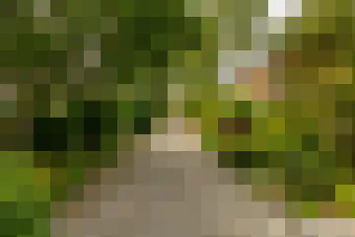 Prunusstraat 110 Groningen thumbnail 50