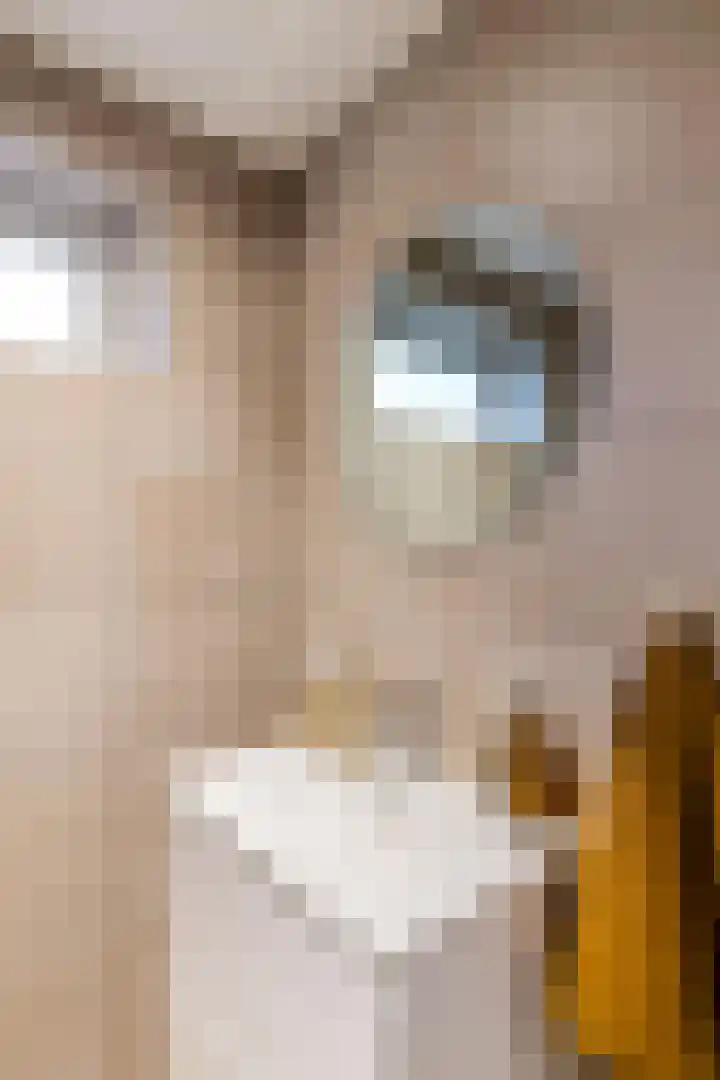 Prunusstraat 122 Groningen thumbnail 21