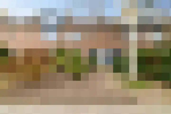 Prunusstraat 122 Groningen thumbnail 4