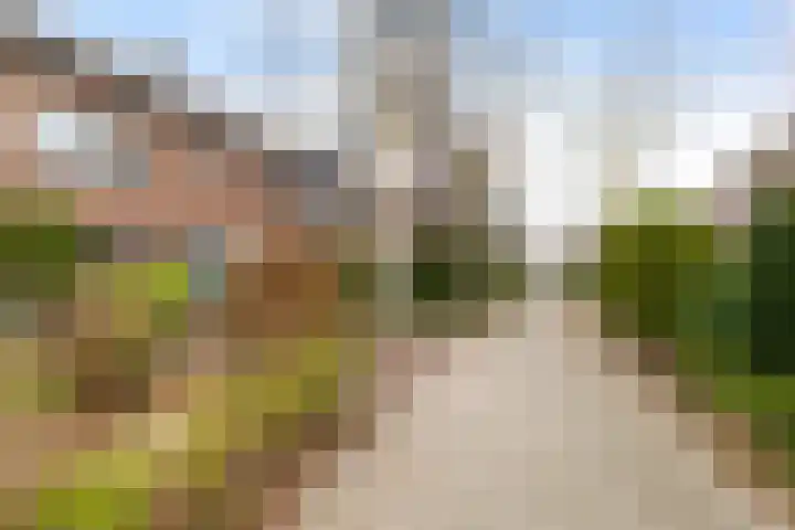 Prunusstraat 122 Groningen thumbnail 6