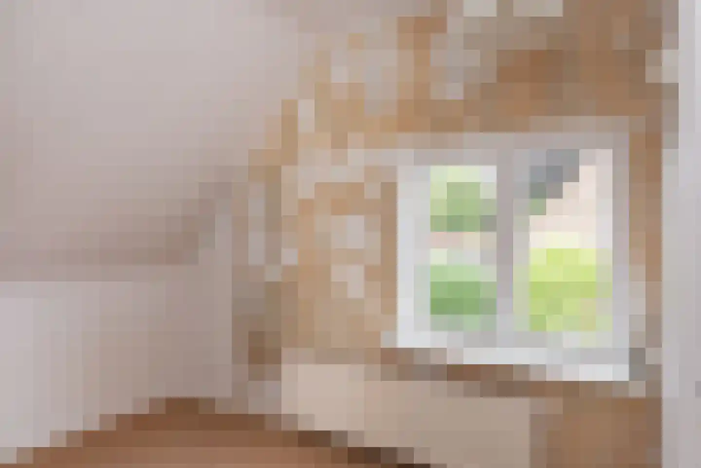 Prunusstraat 13 Wezep thumbnail 40