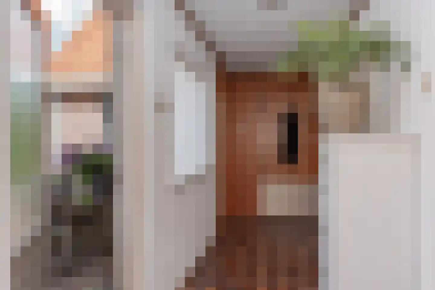 Prunusstraat 13 Wezep thumbnail 6