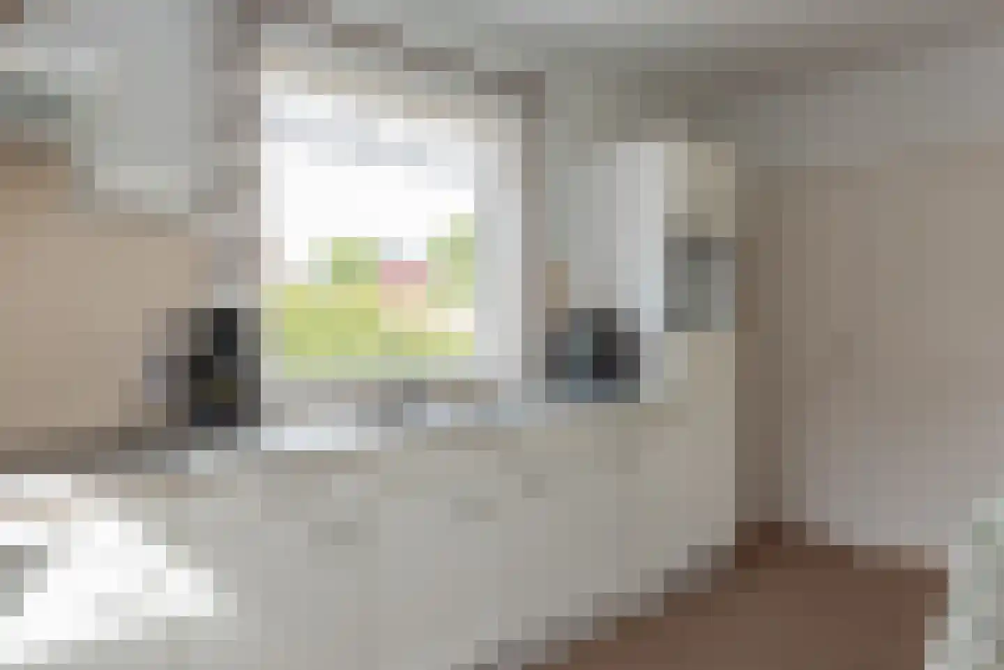 Prunusstraat 13 Wezep thumbnail 9