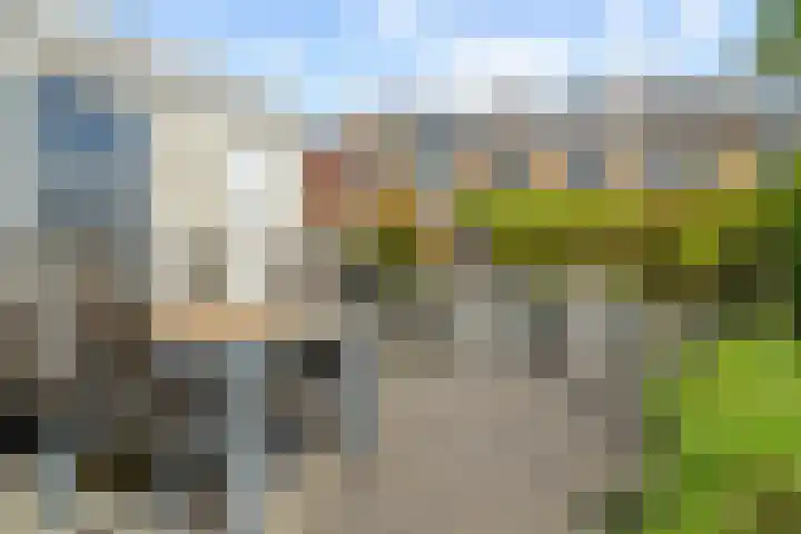 Prunusstraat 14 Alphen aan den Rijn thumbnail 29