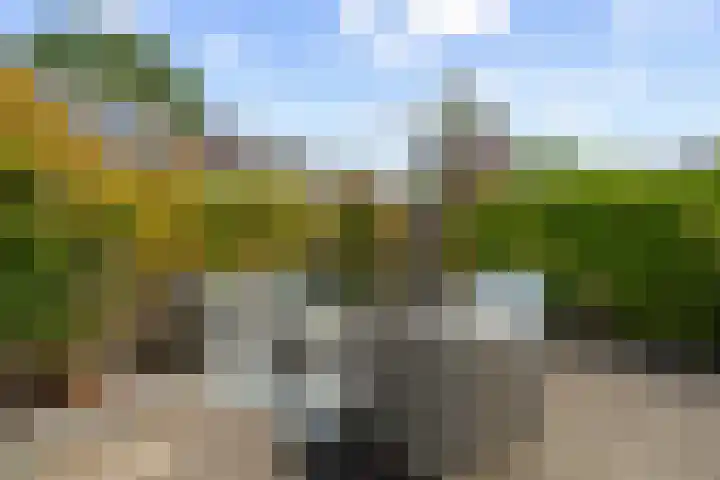 Prunusstraat 14 Alphen aan den Rijn thumbnail 30