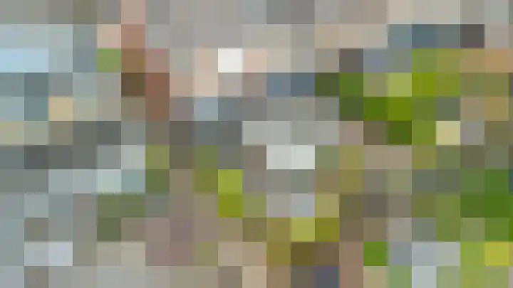 Prunusstraat 14 Alphen aan den Rijn thumbnail 33