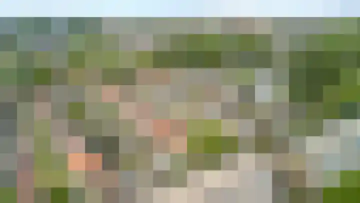 Prunusstraat 14 Alphen aan den Rijn thumbnail 4
