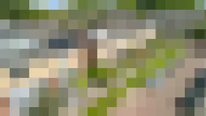 Prunusstraat 14 Alphen aan den Rijn thumbnail 6