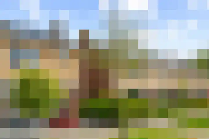 Prunusstraat 14 Alphen aan den Rijn thumbnail 8