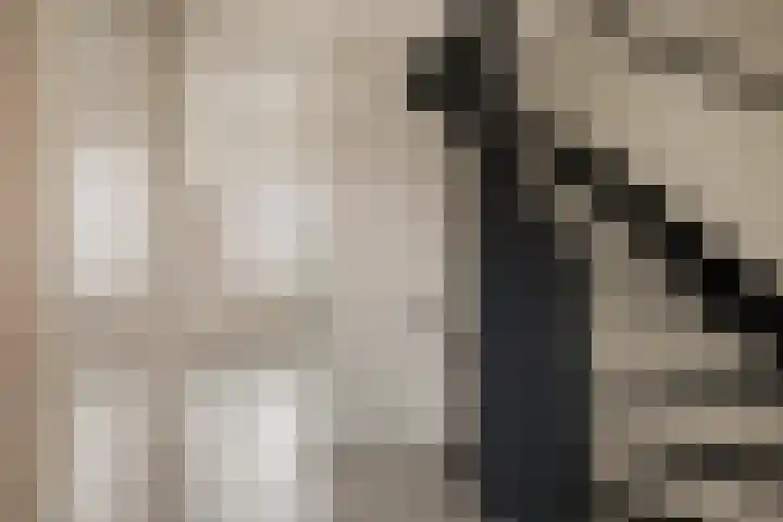 Prunusstraat 15 Borculo thumbnail 16