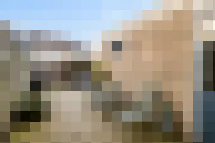 Prunusstraat 15 Borculo thumbnail 29