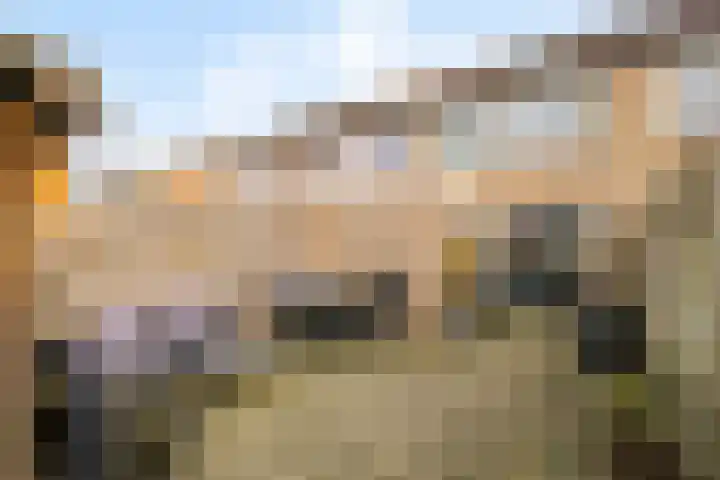 Prunusstraat 15 Borculo thumbnail 30